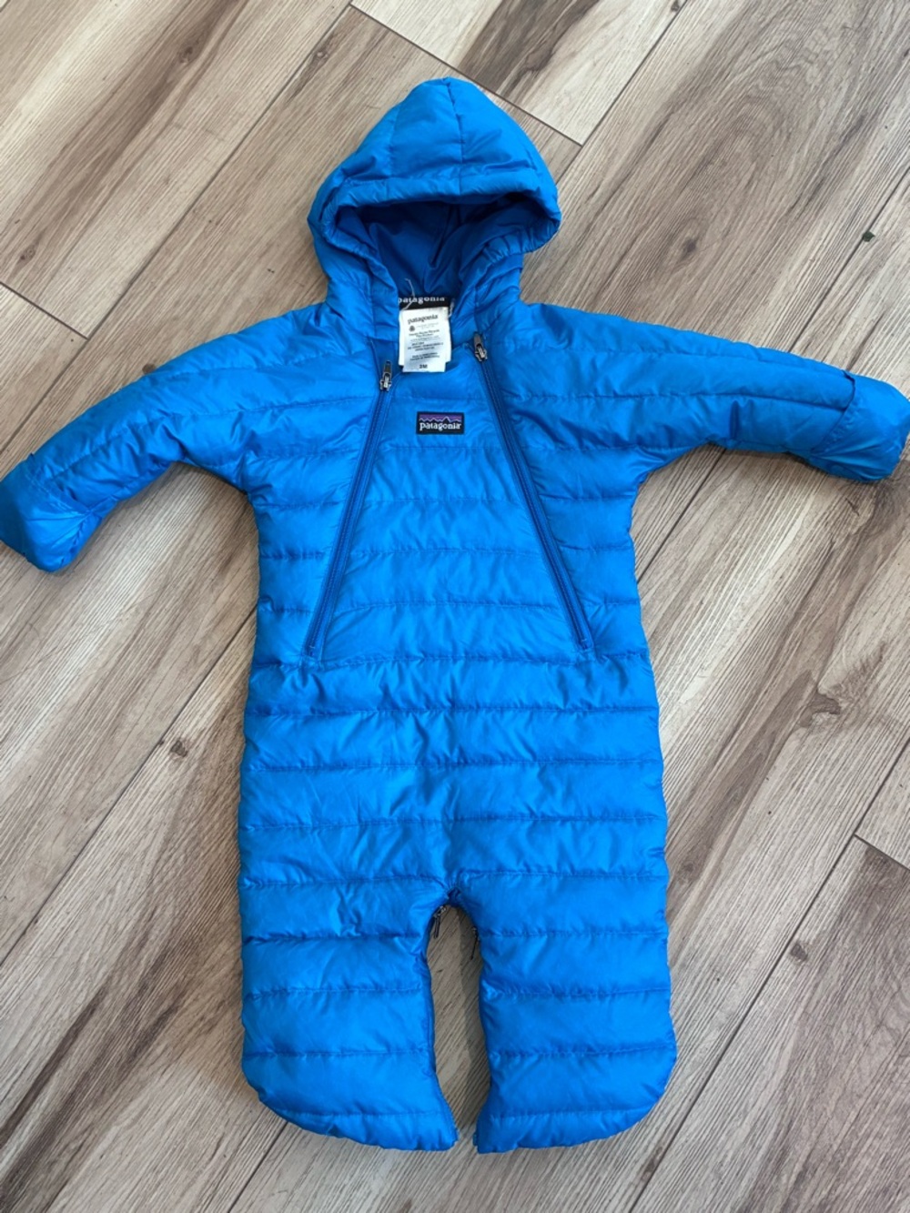 Patagonia down bunting